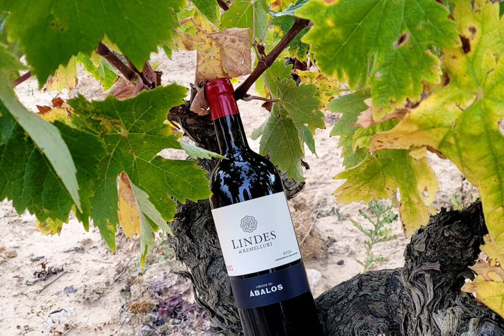 Compañía de Vinos: Excellence Across Spain